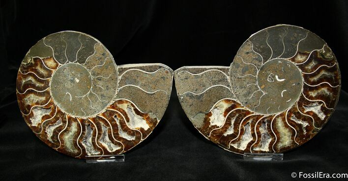 Large Inch Polished Pair From Madagascar #1060
